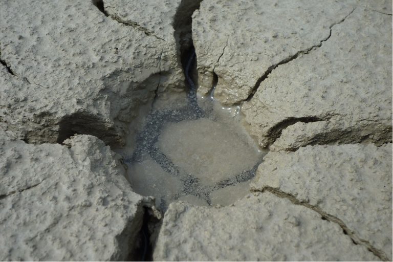 Should You Line A Raised Garden Bed? (4 Things You Need To Know